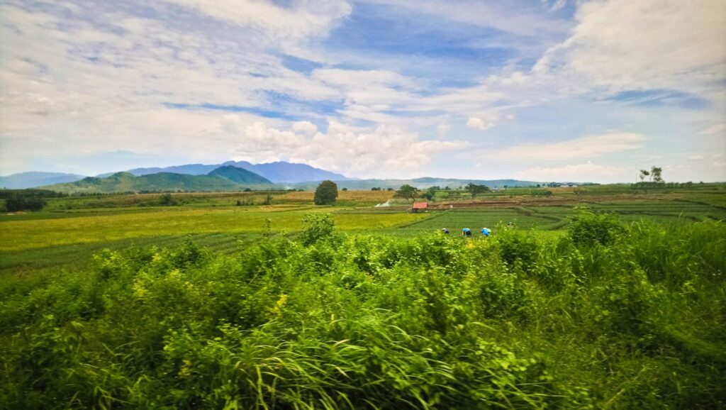 Enjoy the stunning countryside of Java from the train