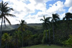 First Viewpoint
