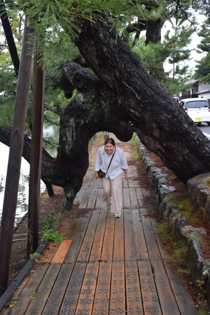 Walking Around Shiomi Nawate