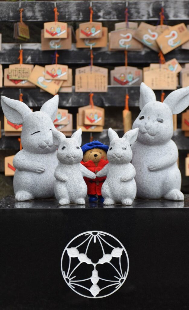 Paddington and the rabbits of Izumo Taisha