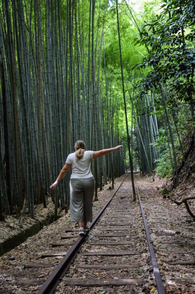Ghibli vibes at the abandoned train line