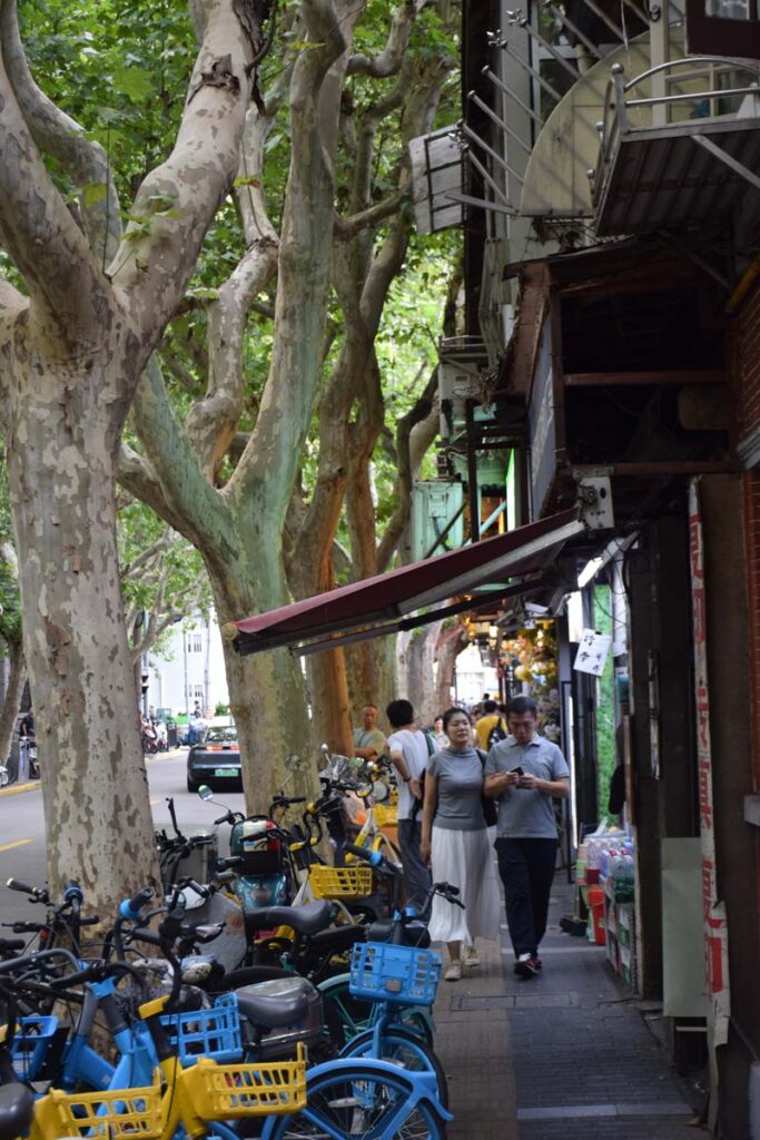 French Concession Shanghai