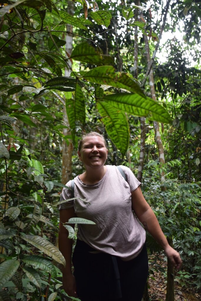 Hiking through the rainforest on a Bukit Lawang orangutan trek