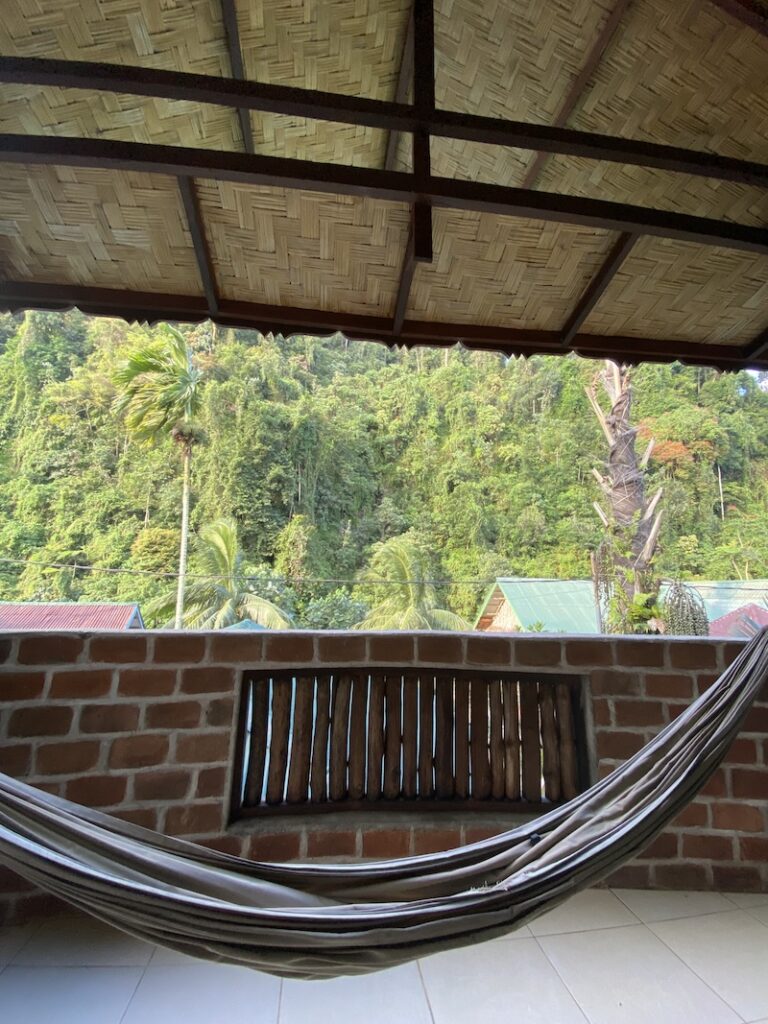Rainforest view from Sam's Bungalow in Bukit Lawang