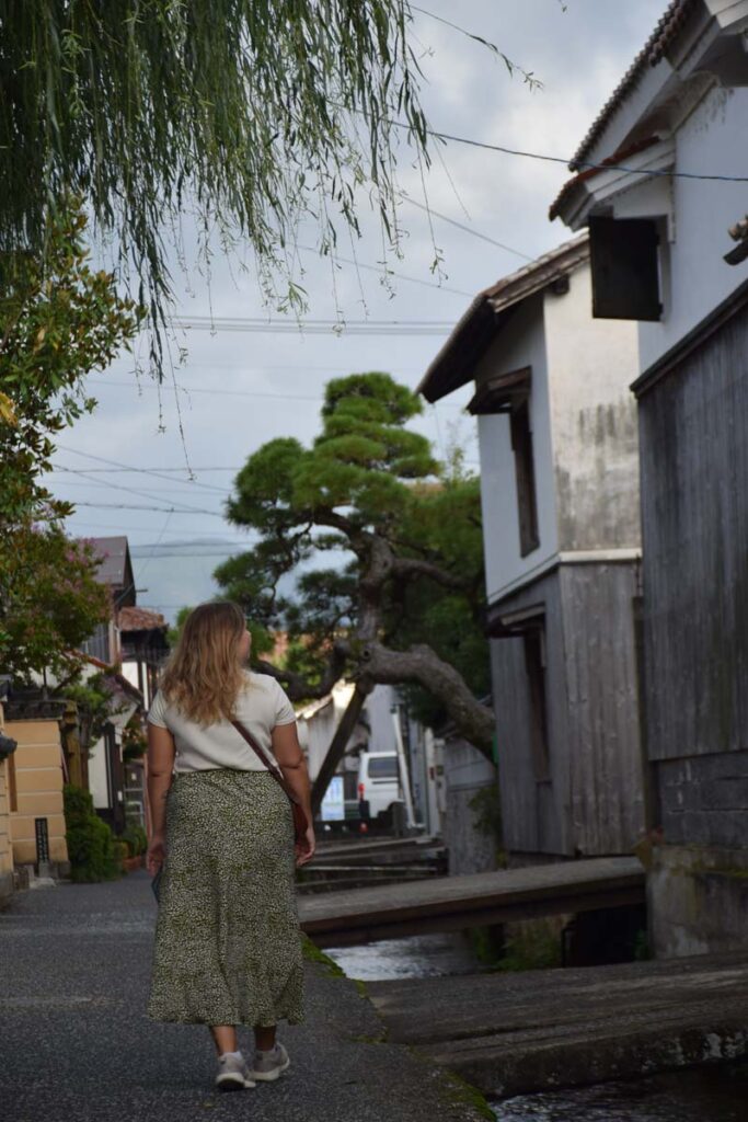 Kurayoshi White Wall Warehouses District