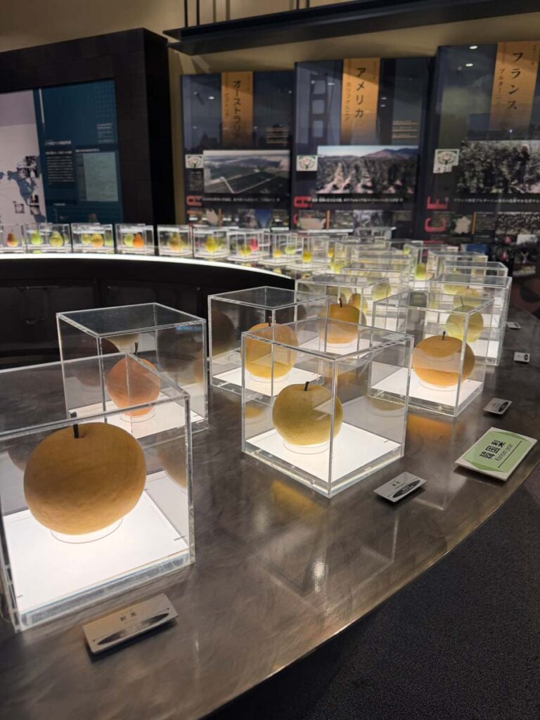 Nashikkokan, the Tottori Nijusseiki Pear Museum