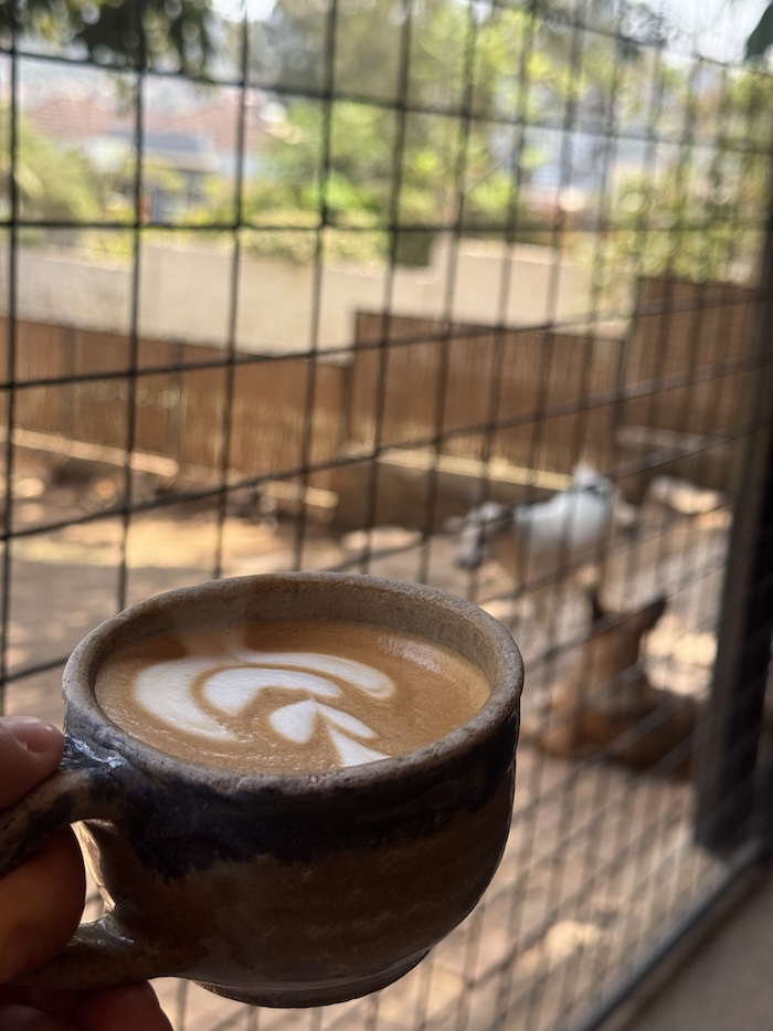 Outdoor seating at Indabo Café in Kigali