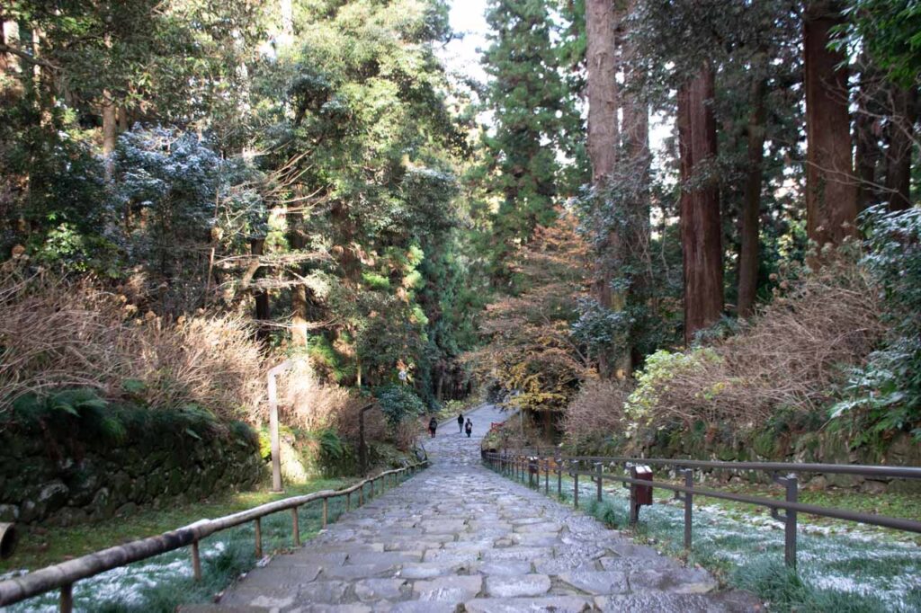 Dainohara Forest Park
