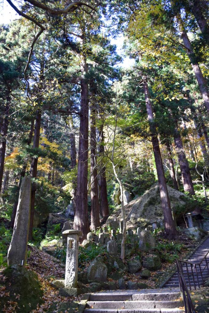 Forest path at Yamadera