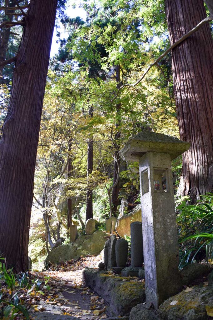 Mountain temple path