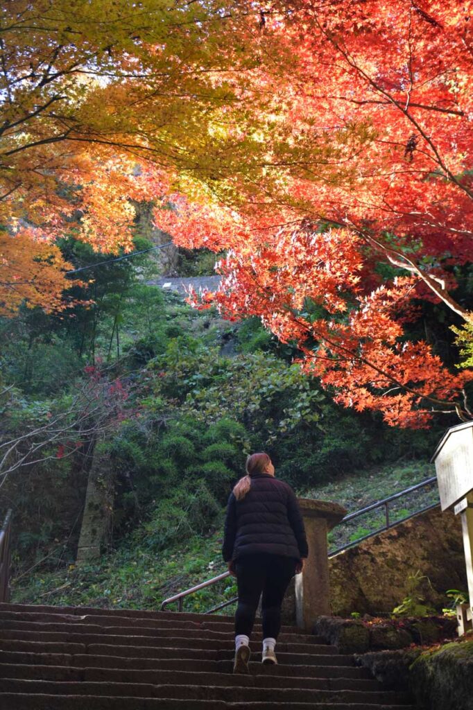 Fall at Yamadera