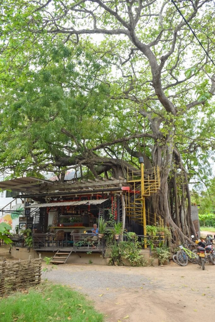 The Food Movement in the Plantation area of Kilifi, Kenya, with cafés and small shops.