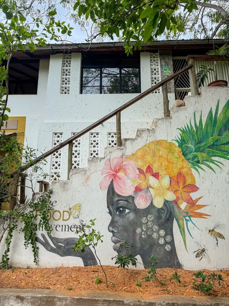 The Food Movement in the Plantation area of Kilifi, Kenya, with cafés and small shops.