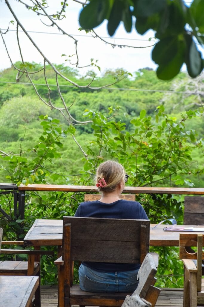 Views from Twisted Fig, beneath a huge baobab tree in the Plantation area of Kilifi, Kenya.