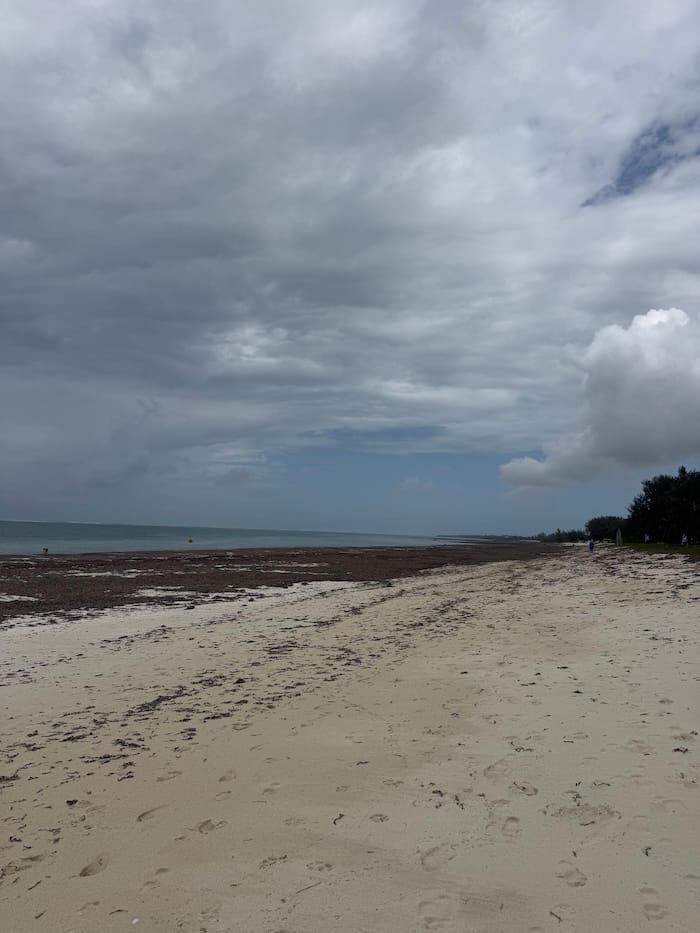 Walking across the exposed shoreline at low tide in Diani