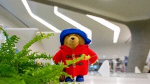 abearcalledpaddington